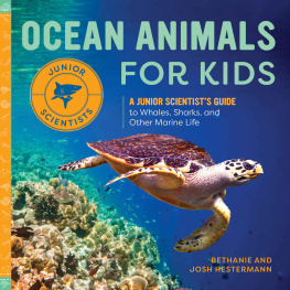 Bethanie Hestermann - Ocean Animals for Kids: A Junior Scientist’s Guide to Whales, Sharks, and Other Marine Life