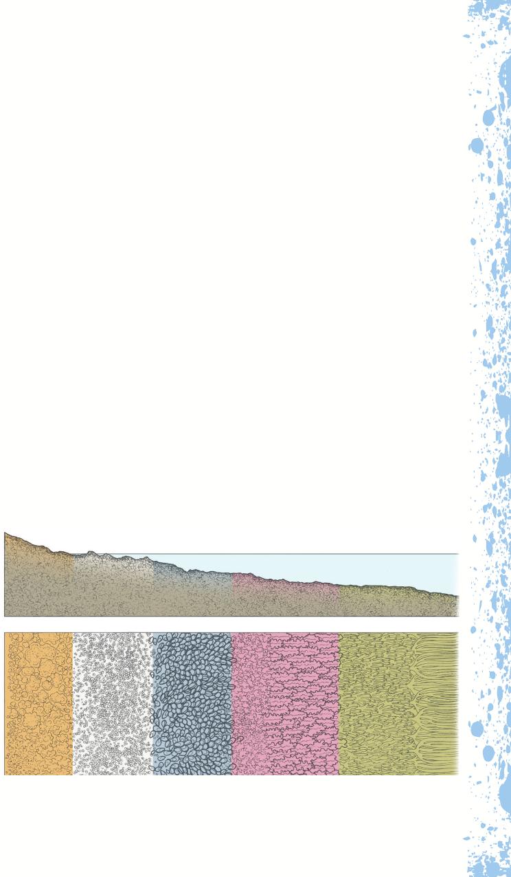 Introduction 9 Introduction The tidal range the maximum vertical height - photo 9