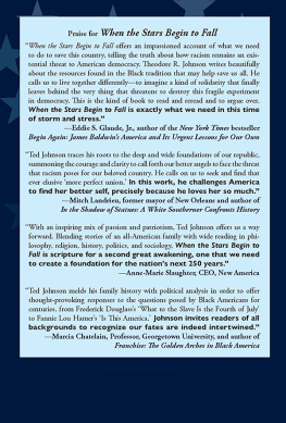 Theodore R. Johnson - When the Stars Begin to Fall: Overcoming Racism and Renewing the Promise of America