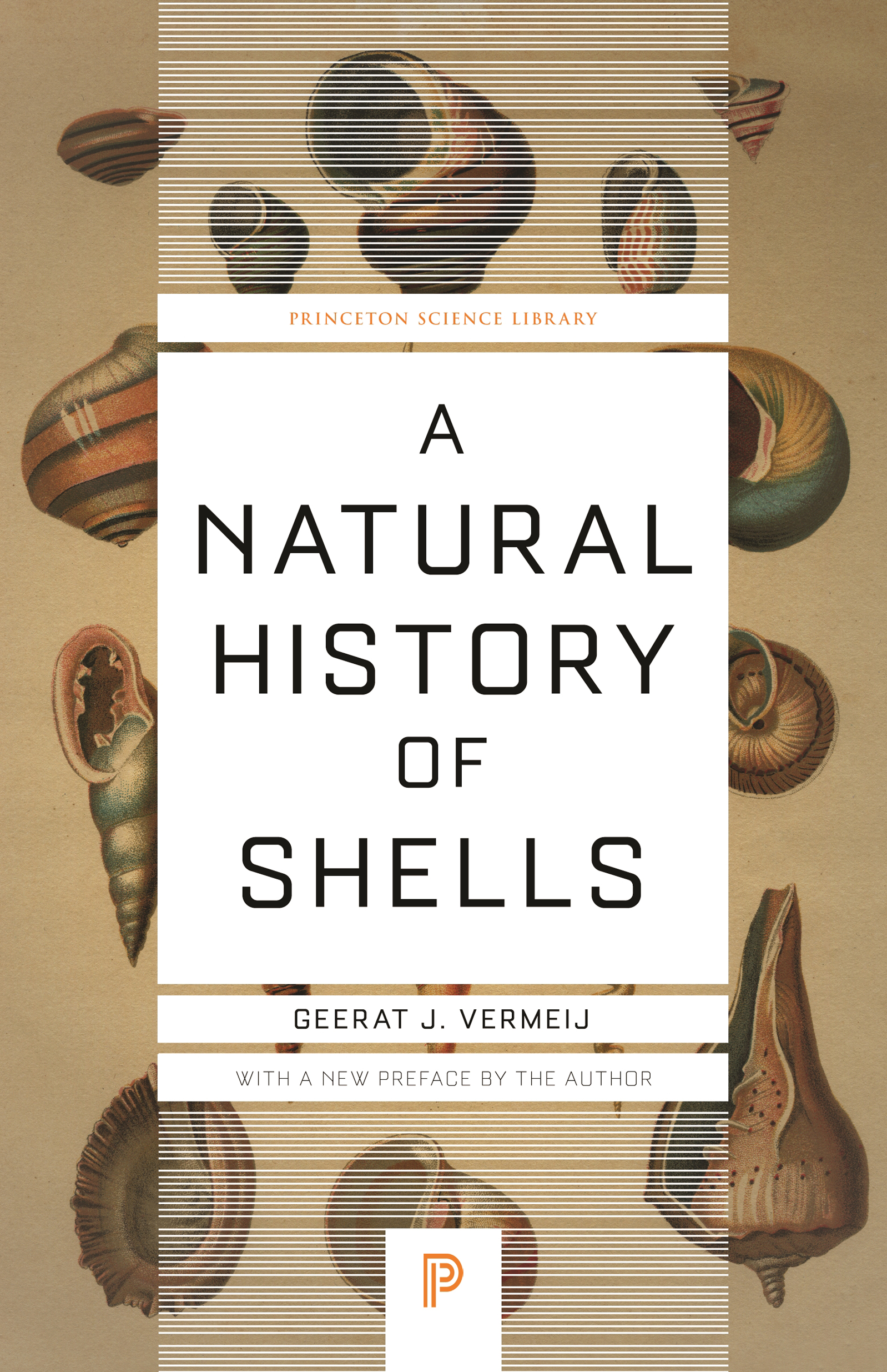 A Natural History of Shells A Natural History of SHELLS Geerat J - photo 1