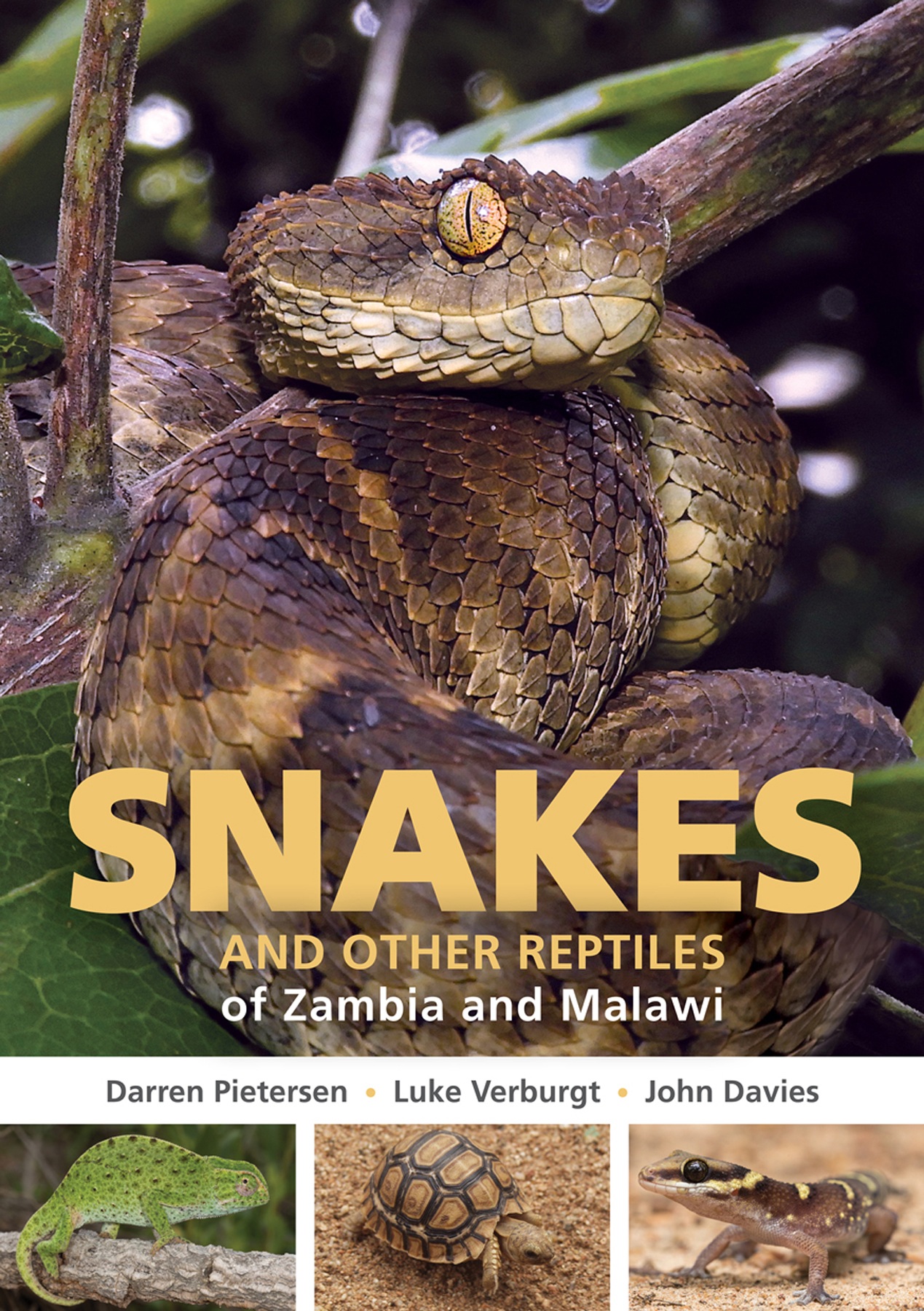 Field Guide to Snakes and other Reptiles of Zambia and Malawi Struik Nature Field Guides - photo 1