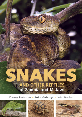 Darren W. Pietersen Field Guide to Snakes and other Reptiles of Zambia and Malawi (Struik Nature Field Guides)