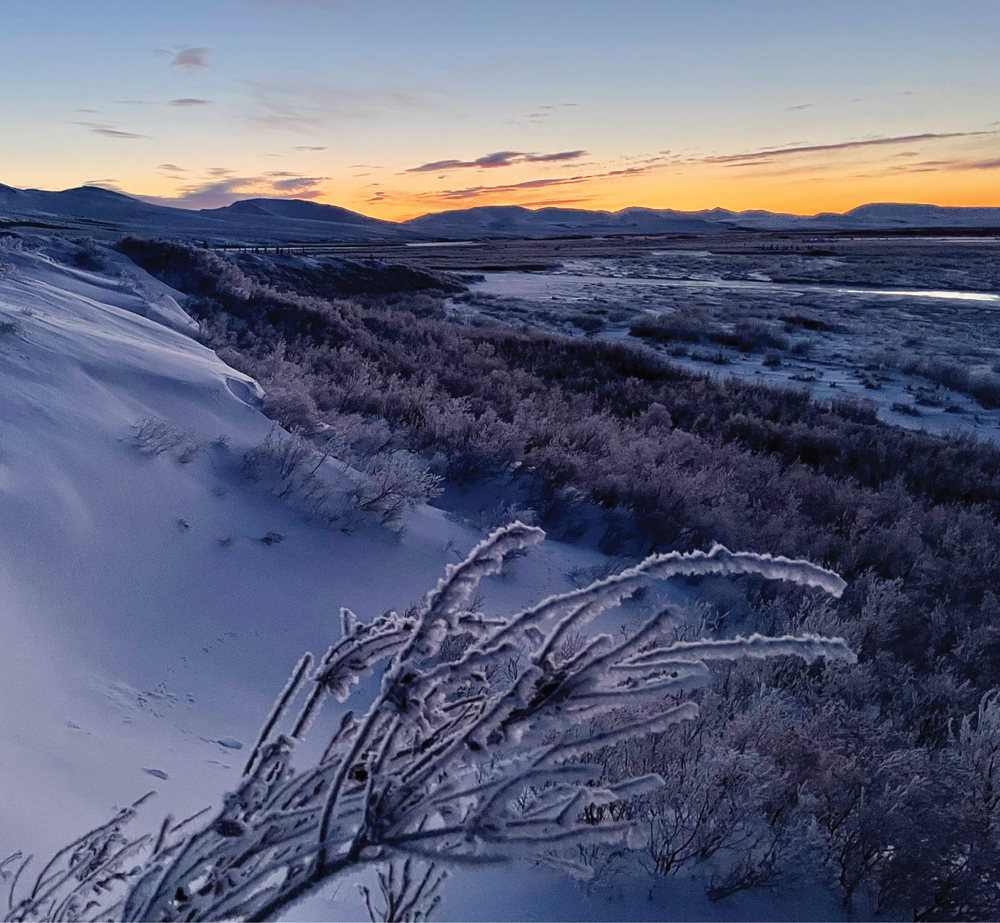 Snow ice and the winds of winter begin to transform the land From the - photo 14