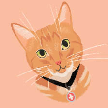 Meet Casey Your feline guide throughout this book is Pet Safety Cat Casey He - photo 6