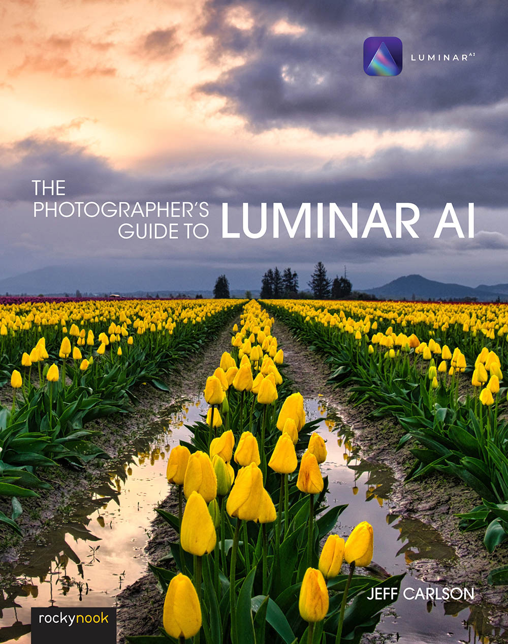 Jeff Carlson The Photographers Guide to Luminar AI The Photographers - photo 1