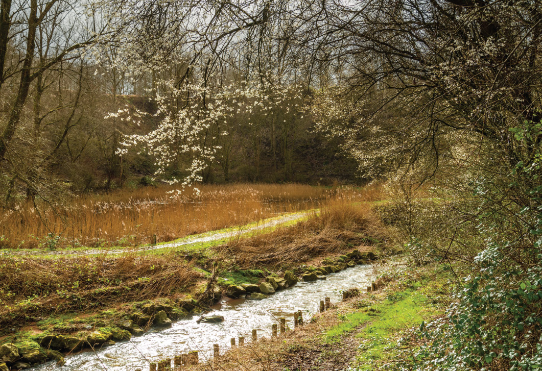 River Medlock Clayton Vale Green Salford Chat Moss - photo 3