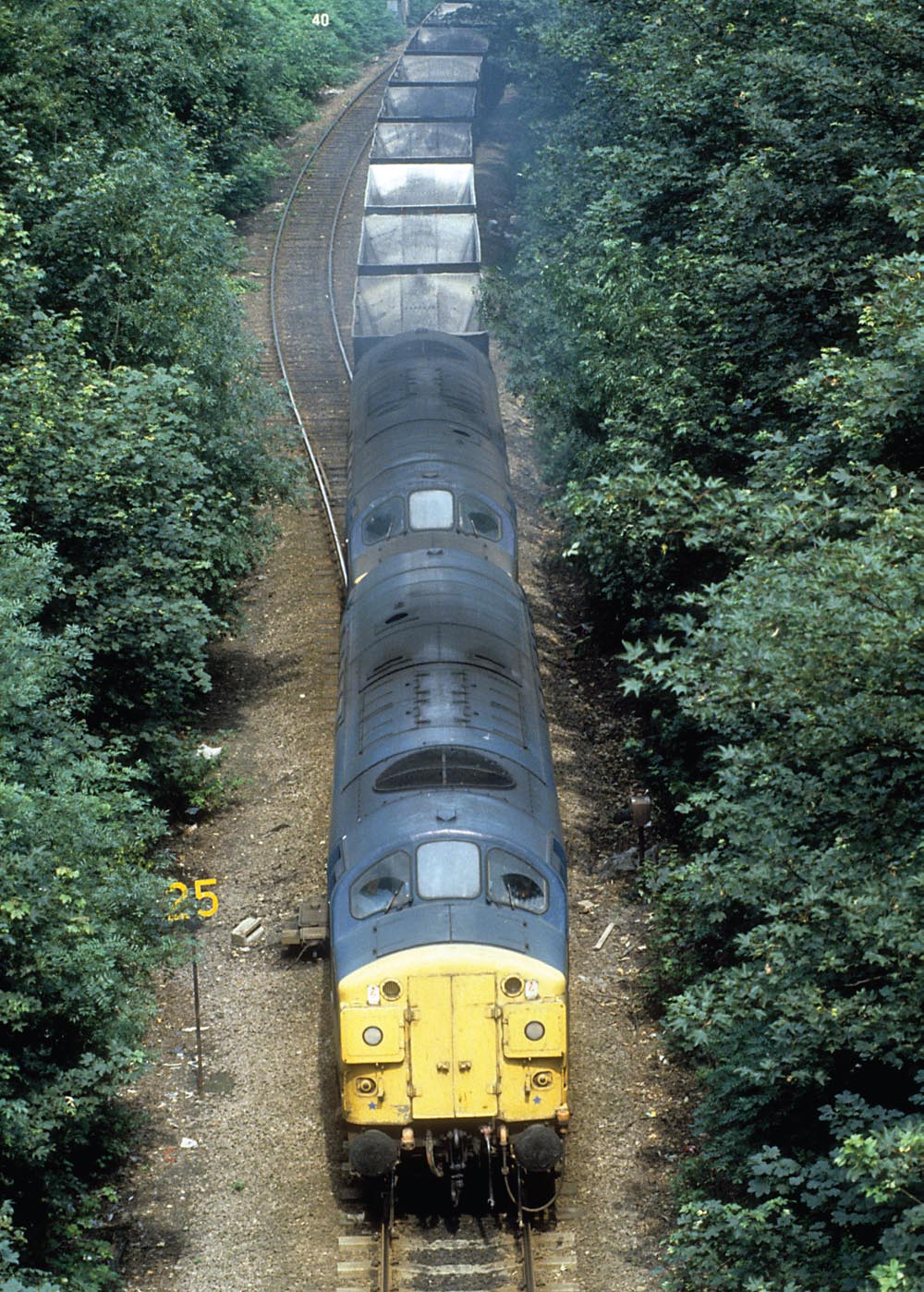 A pair of Class 37 locomotives head a train of empty merry-go-round wagons to - photo 4