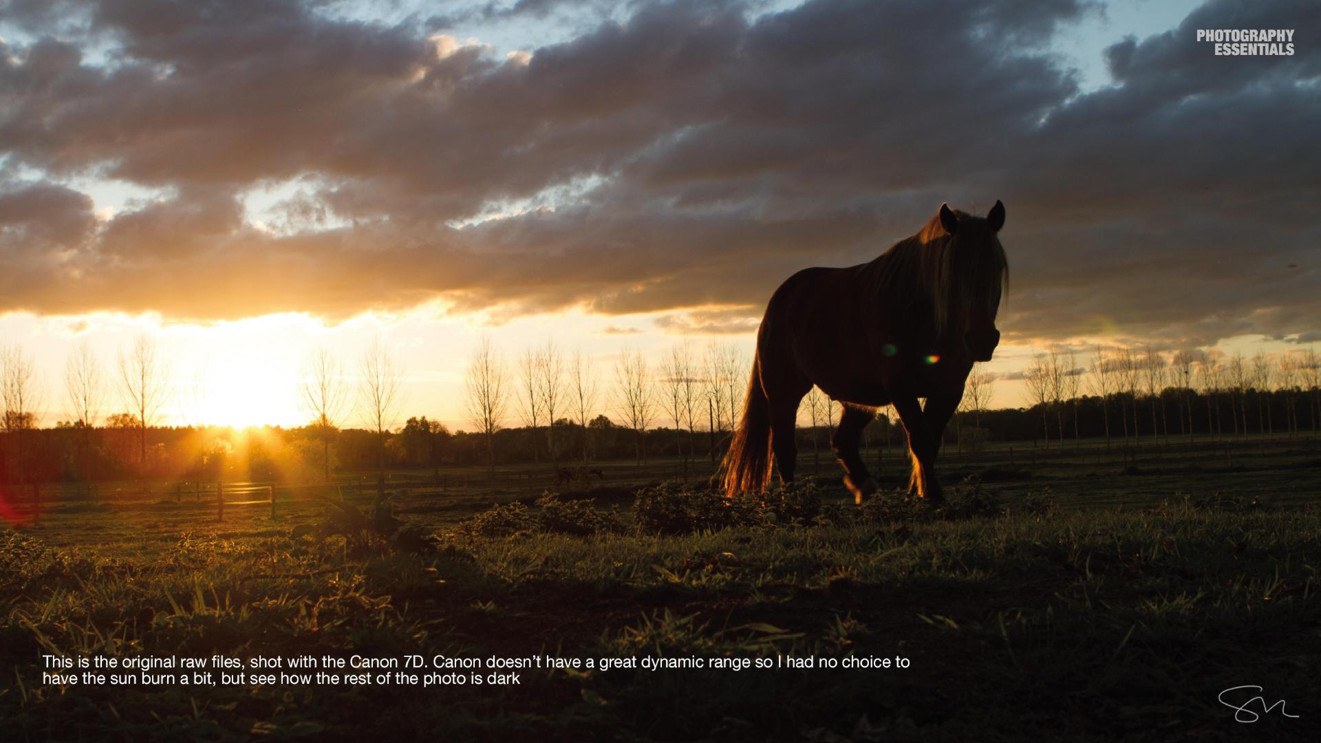 Photography Essential The Key Factors to Take Gallery Quality Photographs - photo 8