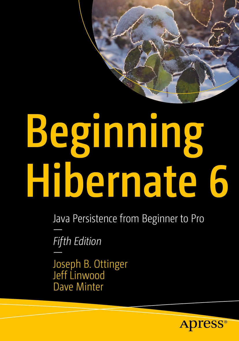 Book cover of Beginning Hibernate 6 Joseph B Ottinger Jeff Linwood and - photo 1