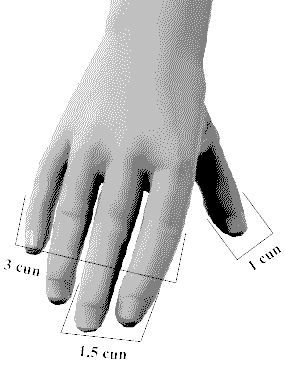 Tsun or cun is the measurement of one body inch used to locate acupuncture - photo 1