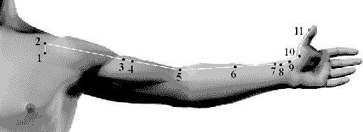 LU1 Zhongfu - 6 cun lateral to anterior midline level with the 1st intercostal - photo 2