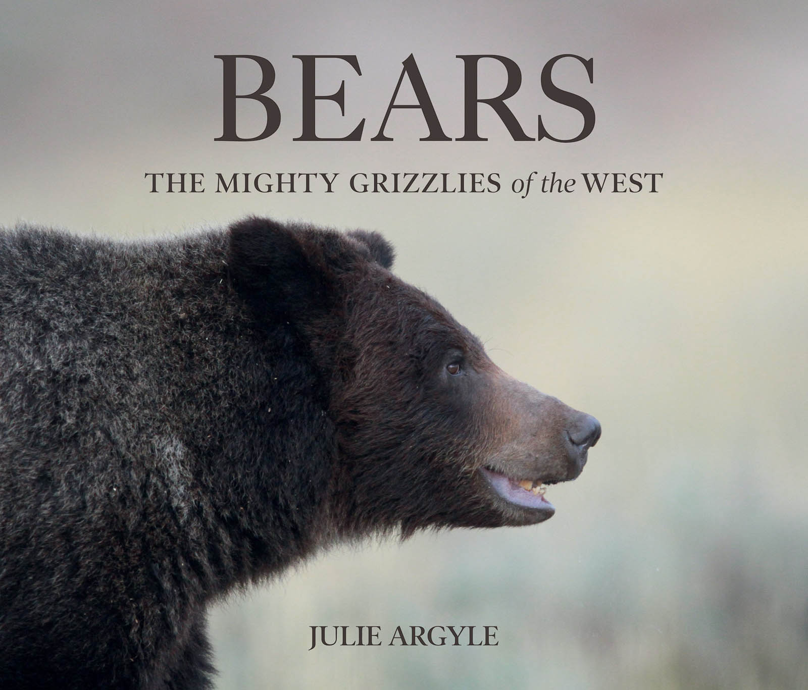 Bears The Mighty Grizzlies of the West Julie Argyle - photo 1