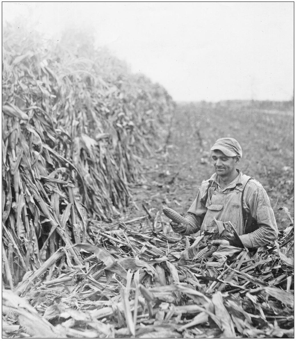 Hubert Jacob Null of Taneytown is husking corn in the late 1940s According to - photo 1