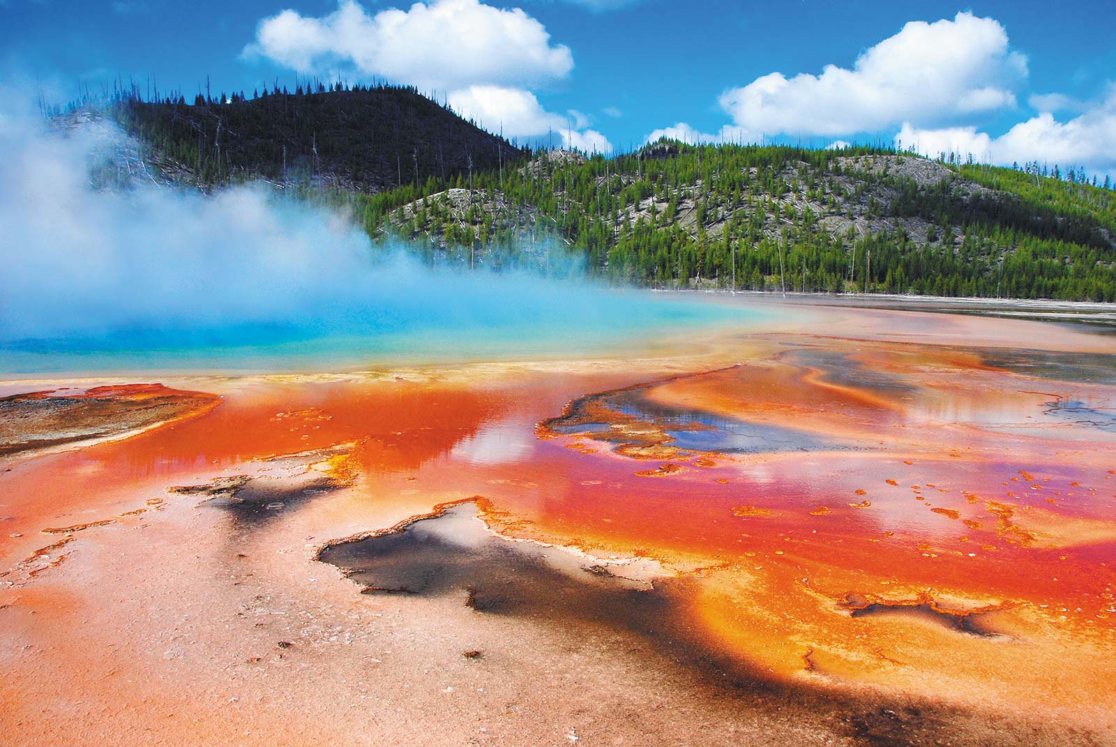 SEE GEOLOGY IN ACTION IN YELLOWSTONE Marvel at the radiance of geothermal - photo 10