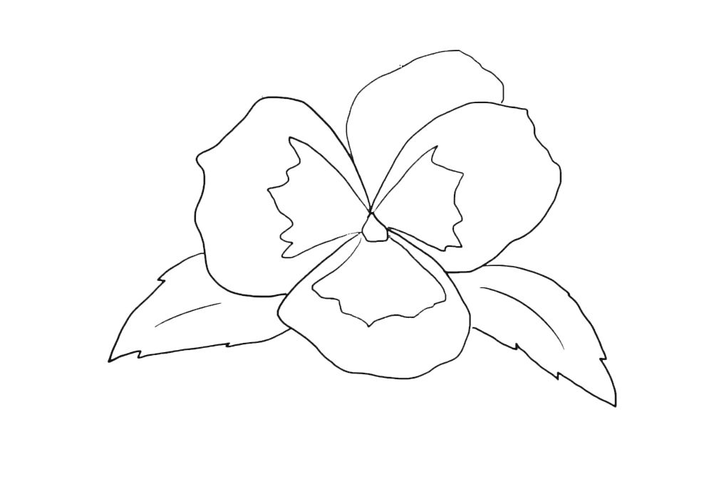 CHAPTER 3 HOW TO DRAW A PEONY STEP BY STEP - photo 11