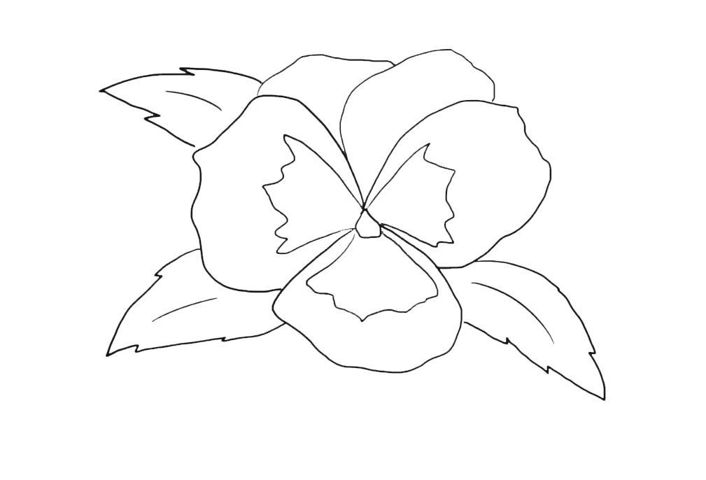 CHAPTER 3 HOW TO DRAW A PEONY STEP BY STEP - photo 12
