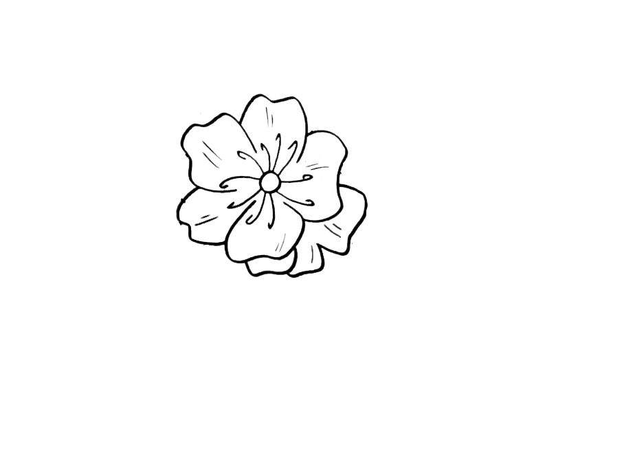How To Draw Flowers Trees And Leaves The Easy Guide For Beginners To Drawing 52 Beautiful Flowers Trees And Leaves In A Simple Way - photo 16