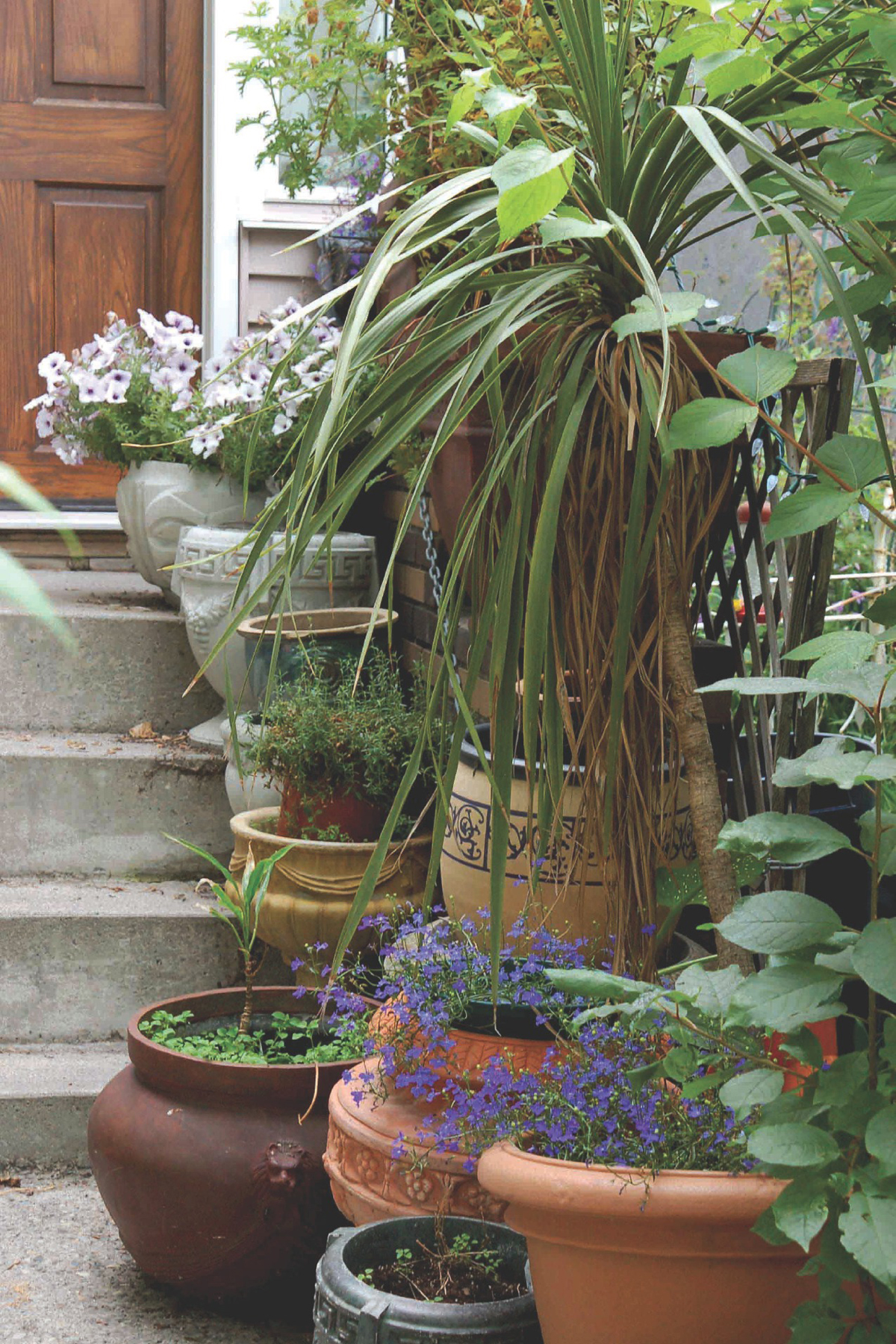 Let us help you get inspired about growing in small spaces The ethos of - photo 4