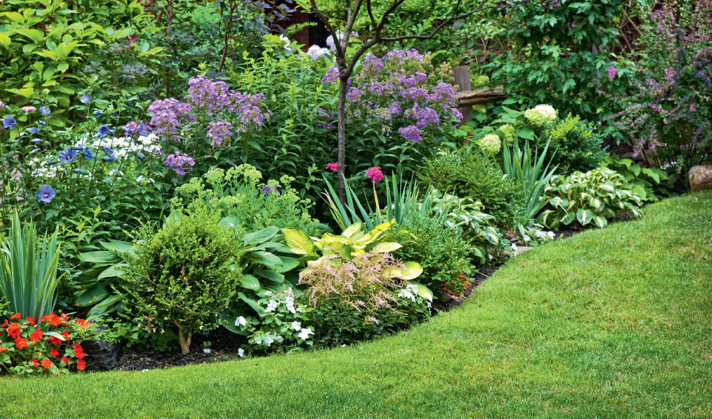 A pretty lush garden bed like this one isnt hard to create its just a matter - photo 9