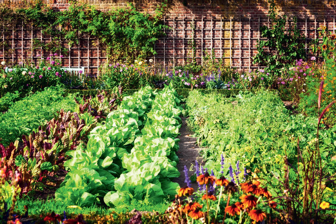 Vegetable gardens are as fun to grow as they are to eat The right garden can - photo 10