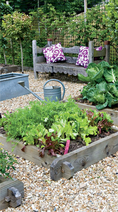 A small raised bed is easy to maintain making it suitable for the busy person - photo 6