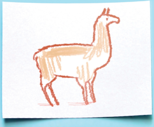 SO WHAT IS A LLAMA A llama is like a camel without a hump but it also has a - photo 10