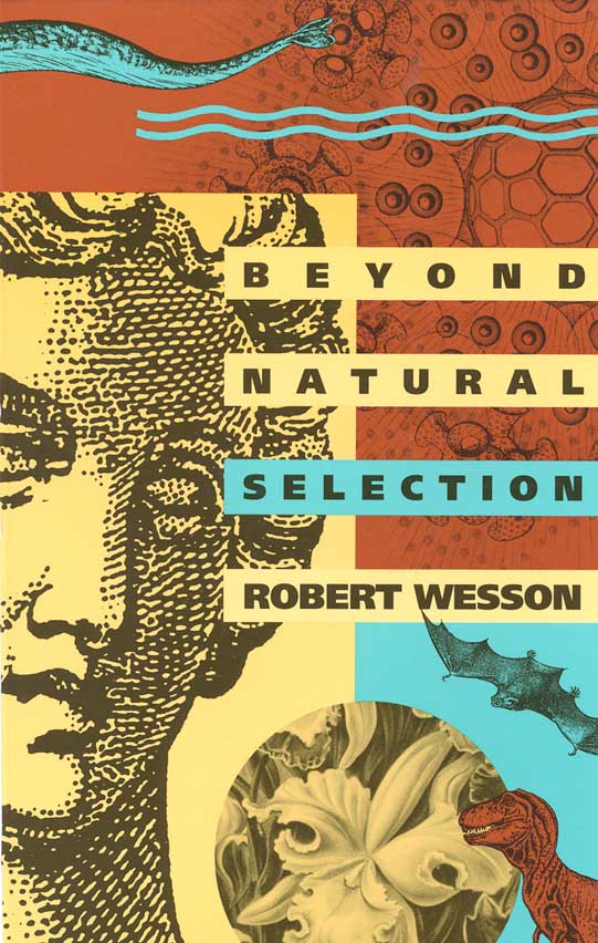 Beyond Natural Selection Robert Wesson A Bradford Book The MIT Press - photo 1