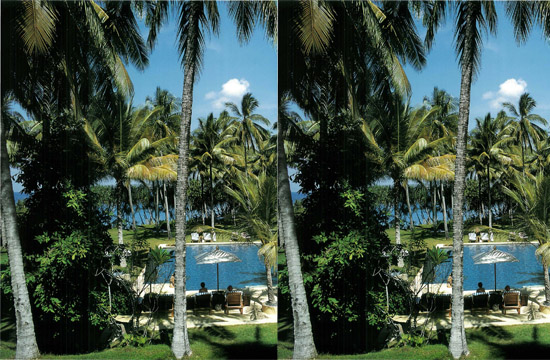 The gardens of the Balina Serai hotel were planted in a coconut grove All the - photo 10