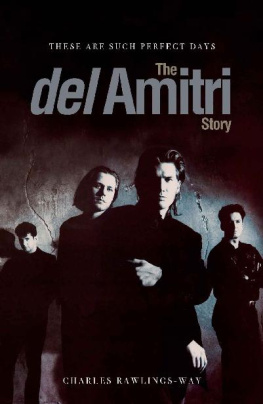 Charles Rawlings-Way - These Are Such Perfect Days: The Del Amitri Story