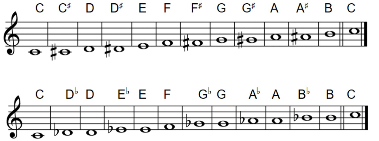 The seven natural notes in typically western music are C D E F G A B - photo 3