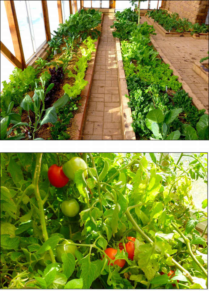 Teds Greenhouse Creating a Four-Season Passive Solar Greenhouse From the - photo 2