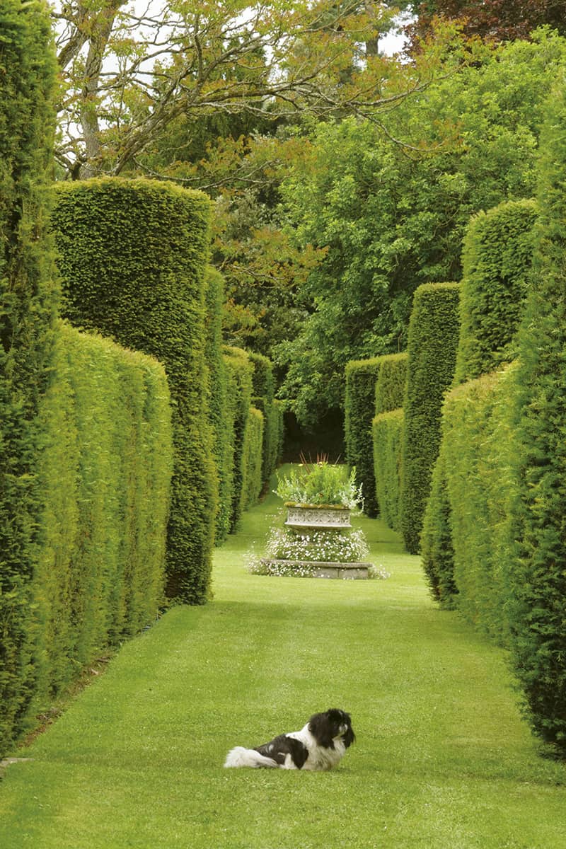 A beautifully planted stone font makes an elegant eye-catcher in the Yew Walk - photo 2