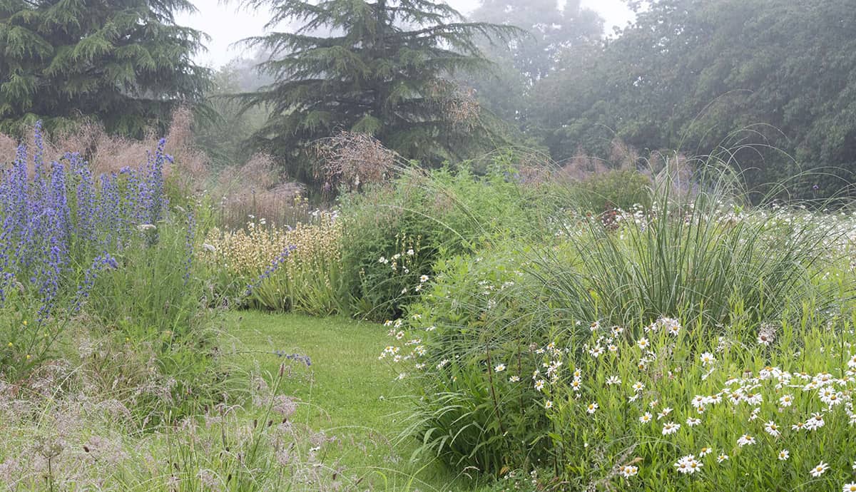 Africa was the inspiration for the exuberant wildflower meadow borders at - photo 3