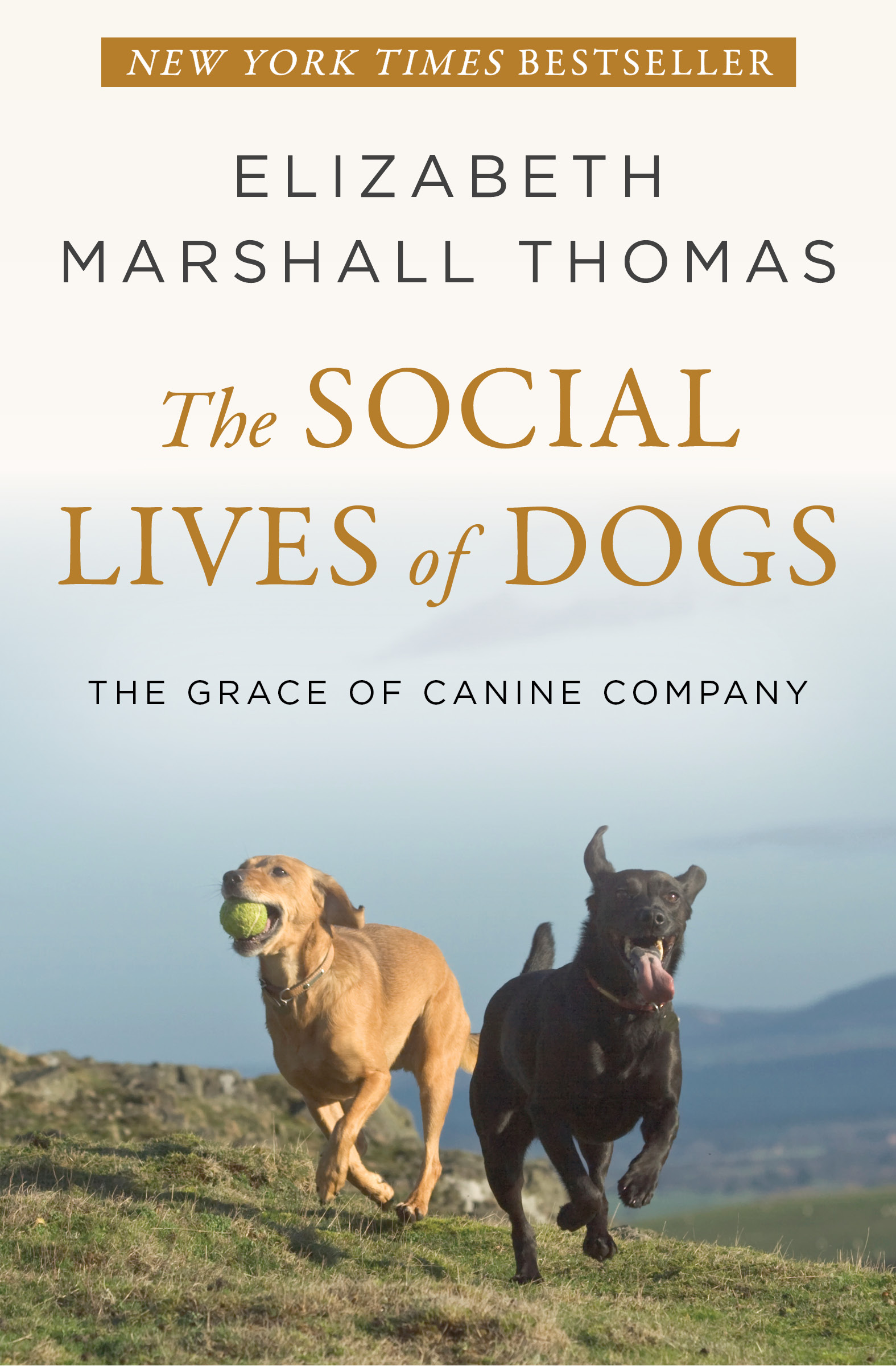 The Social Lives of Dogs The Grace of Canine Company Elizabeth Marshall - photo 1