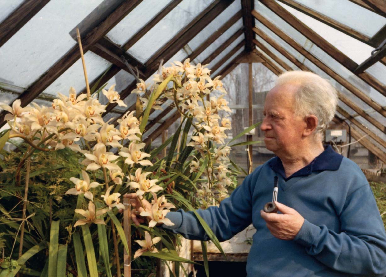 Ted May with some of his orchids late 1960s Ted May with orchids authors - photo 3