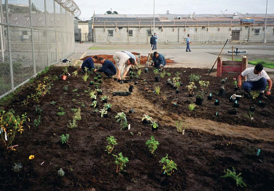 Insight Garden Project participants creating the flower garden at San Quentin - photo 13