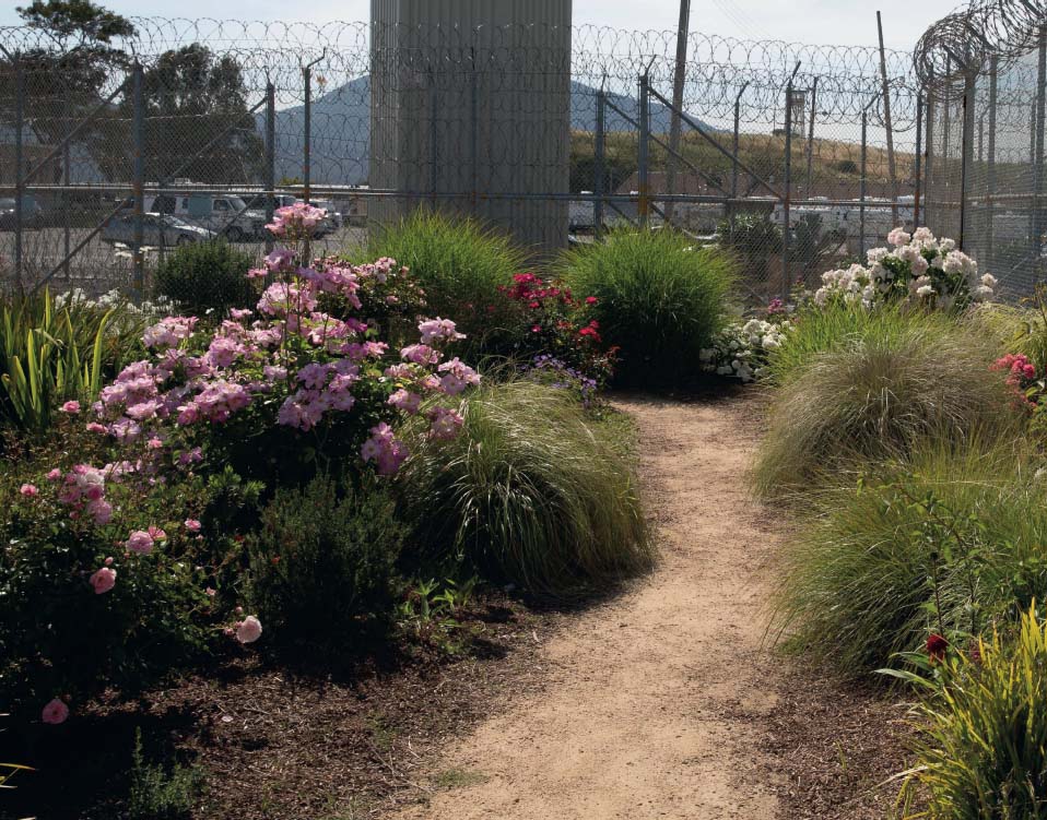 San Quentin flower garden 2019 San Quentin flower garden courtesy of - photo 14