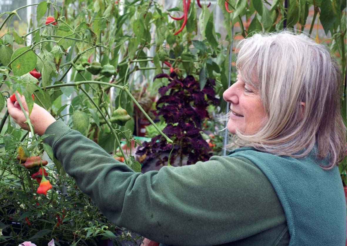 Carol Sales horticultural therapist for HighGround Carol Sales - photo 21