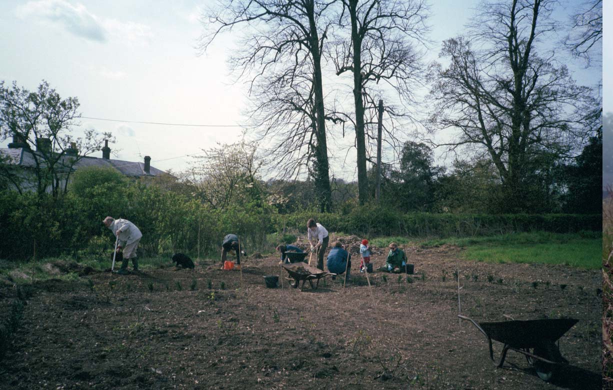 Stuart-Smith family group removing stones from the field in preparation for - photo 5