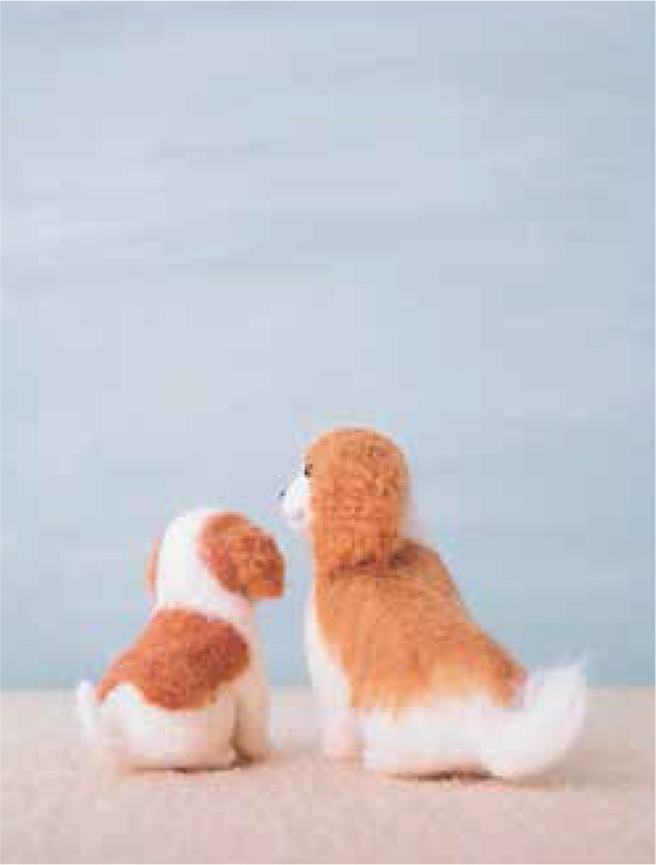 Pomeranian Pomeranians have distinctive woolly tufted fur Select a wool - photo 27