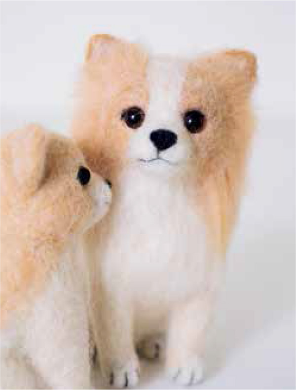 Toy Poodle This clever canines secret to popularity is its a - photo 8