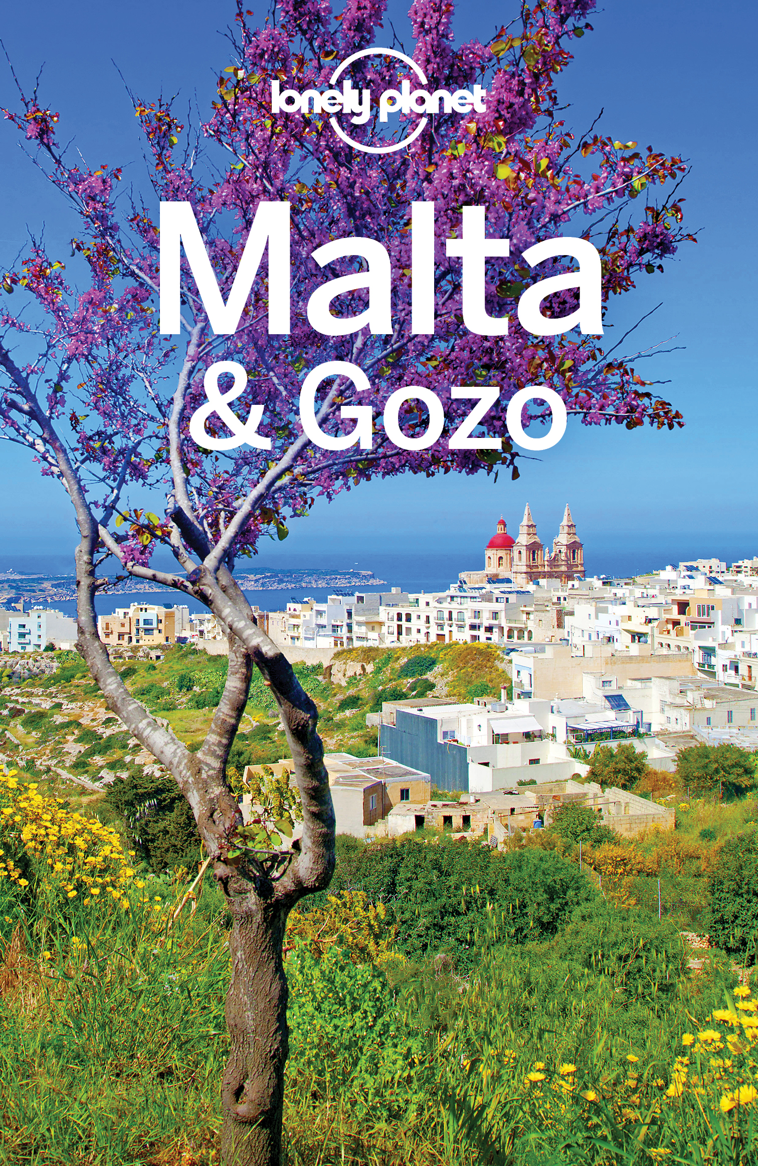 Lonely Planet Malta Gozo - image 1