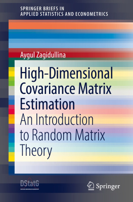 Aygul Zagidullina - High-Dimensional Covariance Matrix Estimation: An Introduction to Random Matrix Theory