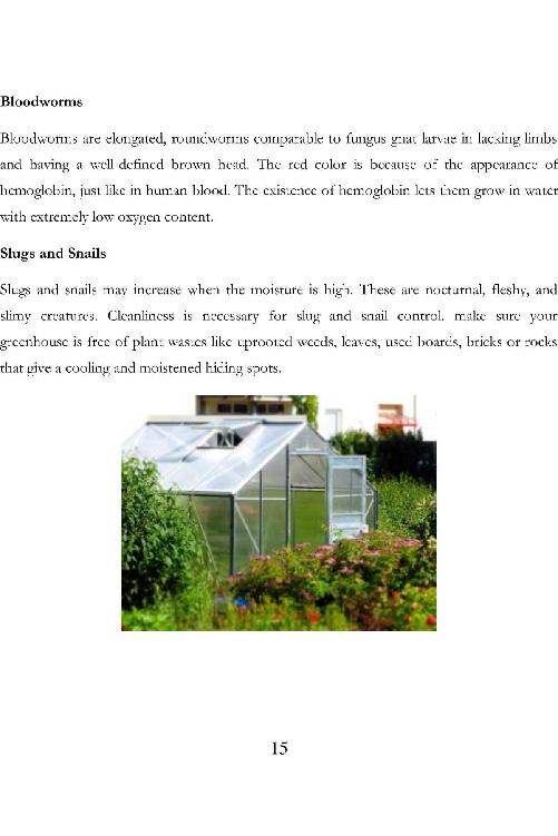 How to Greenhouse Gardening Start Making Greenhouse Plans Youll Want To Enjoy Greenhouse Gardening - photo 16