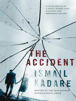Ismail Kadare - The Accident