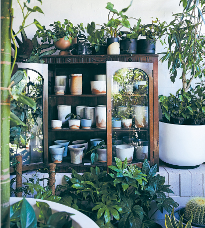 A range of plants and handmade planters decorate The Plant Society flagship - photo 3