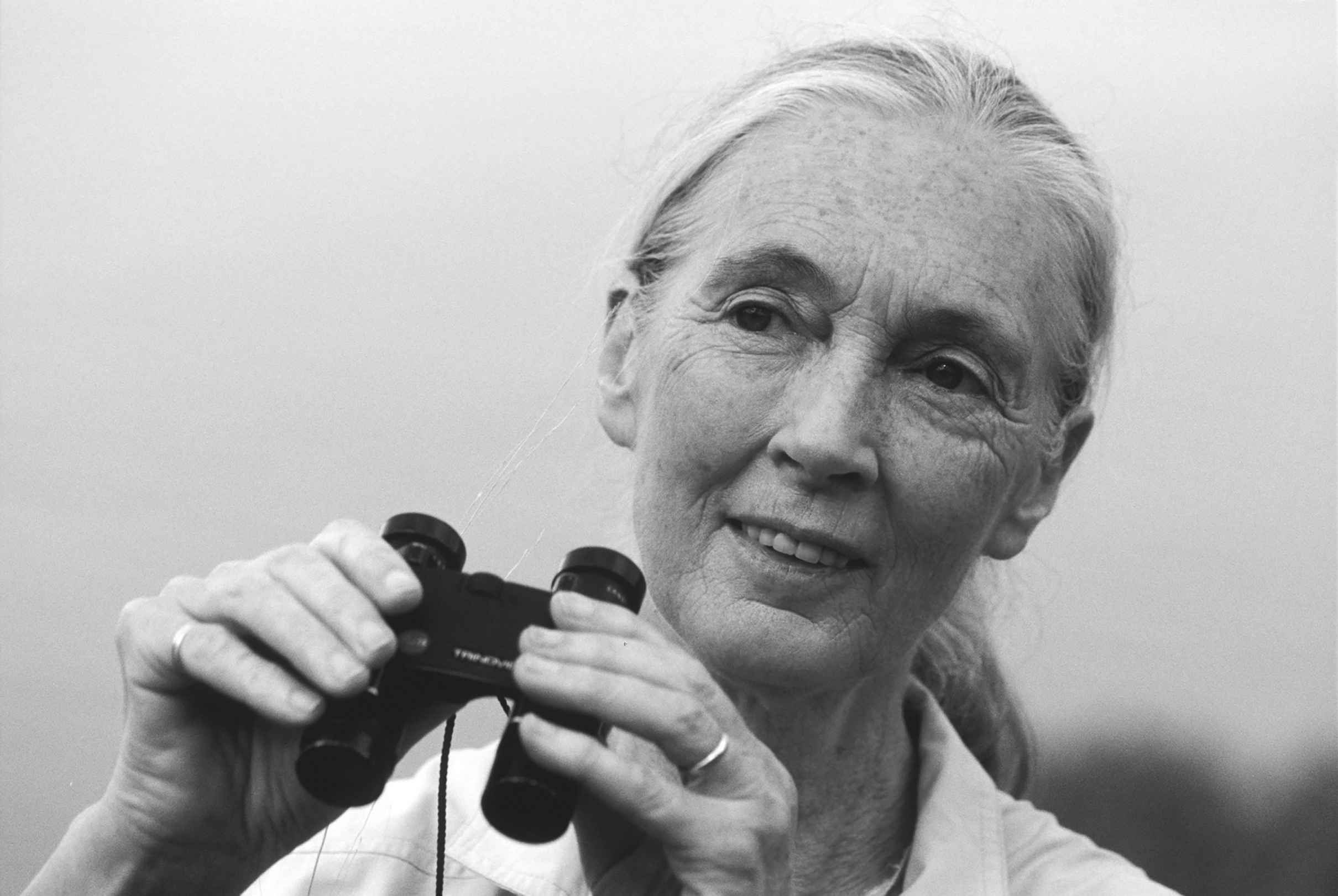 JANE GOODALL INSTITUTEBILL WALLAUER We are going through dark times - photo 3