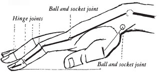 Characteristic changes of axial direction at joints side view The following - photo 6