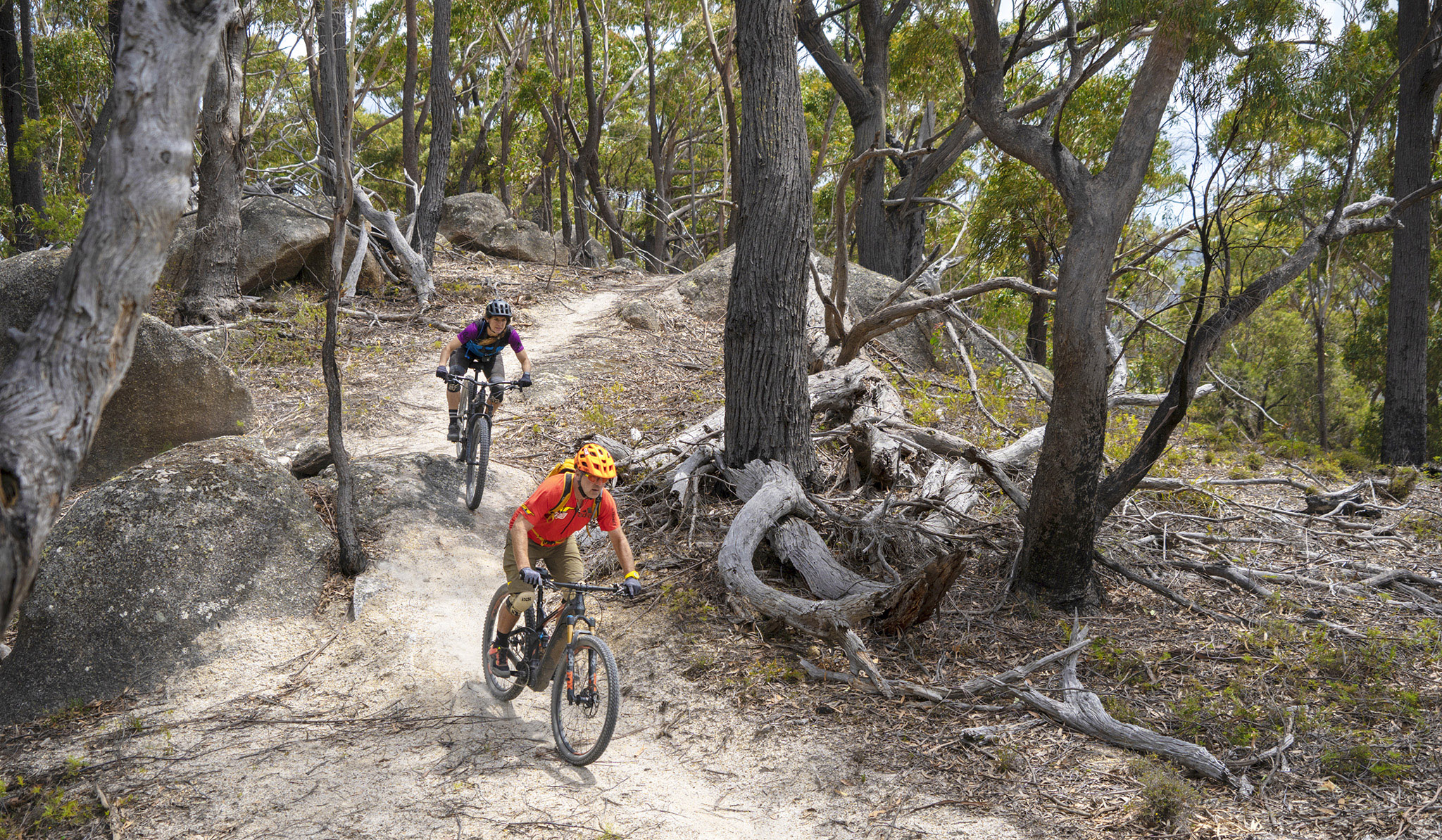 A pair of mountain bikers rolling down a dirttrail Mountain MTBs can go - photo 10