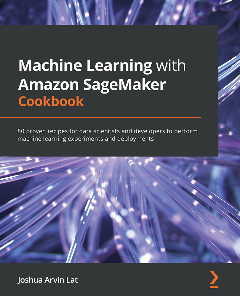 Machine Learning with Amazon SageMaker Cookbook 80 proven recipes for data - photo 1